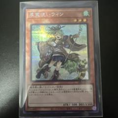 2025年最新】風霊使いウィン 絵違いの人気アイテム - メルカリ