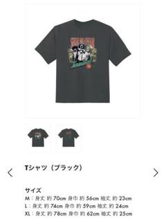 SEKAI NO OWARI セカオワ Terminal tシャツ XLサイズ - メルカリ