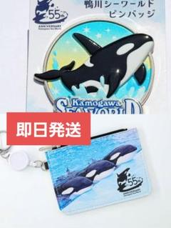 鴨川シーワールド 50周年 ピンバッジ Amazon.co.jp: 鴨川シーワールド限定 50周年 ピンバッジ : おもちゃ
