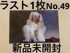 SnowMan 宮舘涼太　滝沢歌舞伎　ZERO 2021 ステフォ　ソロのサムネイル