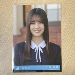 小坂菜緒 卒業写真 ジャケット MV TOUR おうち 日向坂46 【匿名配送】 小坂菜緒 卒業写真 ジャケット MV TOUR おうち 日向坂46 【匿名