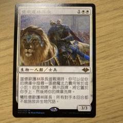 mtg 日本語　イーオスのレインジャー長　4枚セット イーオスのレインジャー長/Ranger-Captain of Eos》[PWシンボル