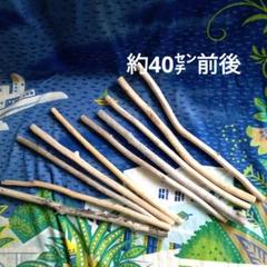 流木 約40センチ前後 10本セット　No.144