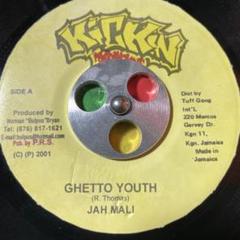 Tico＆Icchie　青春レゲエ・パート2　レゲエ　レコード　reggae Tico & icchieの「青春レゲエ」「青春レゲエ・パート2」のLPが