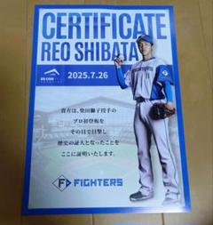ファイターズ　柴田獅子プロ初登板記念証明書　1枚