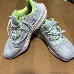 2025年最新】nike ペガサス39 25.5の人気アイテム - メルカリ