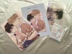 末広マチ先生 ／ちぐはぐなキス小冊子 リーフレット コロッタ