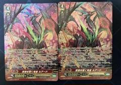 ヴァンガード　深淵を覗く竜皇　ルアード　SP 2枚
