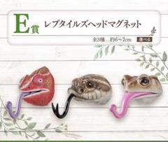 【新品】爬虫類＆両生類　一番くじ　レプタイルズヘッドマグネット　全3種セット
