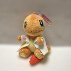 ぬいぐるみ　ヒトカゲ　リカケイノオトコ　クリスマス　ポケモンセンター限定 51uMdmJyYvL._AC_SY200_QL15_.jpg
