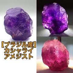2025年最新】カシャライ産の人気アイテム - メルカリ
