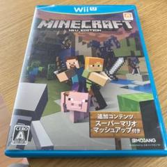 MINECRAFT: Wii U EDITION
