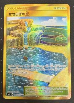 PSA10 せせらぎの丘 UR タッグボルト コイキング 2025年最新】せせらぎの丘 urの人気アイテム - メルカリ