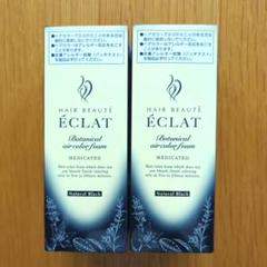 【新品】ÉCLAT ボタニカルエアカラーフォーム ナチュラルブラック2点セット Amazon | ヘアボーテエクラ ボタニカルエアカラーフォームEX