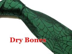 Dry Bones ドライボーンズ メンズ シルクネクタイ 蜘蛛の巣 緑グリーンのサムネイル