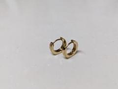 ライオンハート ピアス 両耳用 の中古 新品通販 メルカリ No 1フリマアプリ