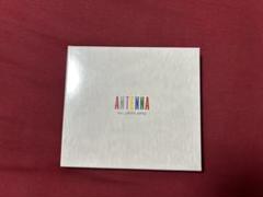 2025年最新】mrs.green Apple antenna 完全生産限定boxの人気