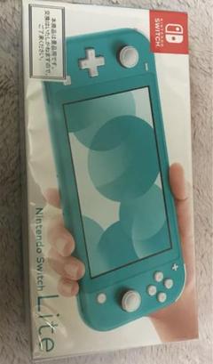 Nintendo switch lite