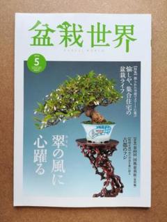 2025年最新】盆栽世界の人気アイテム - メルカリ