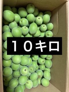 ♥農薬不使用♥愛知県産青梅★9キロ以上★ 青梅 南高梅 無農薬 お取り寄せ販売（通販）送料無料 農家直送