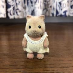 シルバニアファミリー 赤ちゃん人形 アライグマ