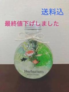 父の日☆金魚ハーバリウム