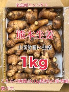 熊本生姜 5 キロ 綺麗に洗ってから発送致します。 熊本生姜 5キロ - メルカリ