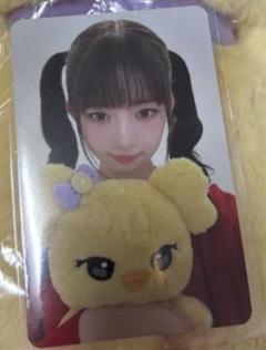 大人の上質  IVE レイ トレカ 30cmぬいぐるみ ポップアップ限定 minive アイドル