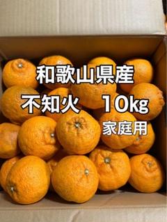 ３【メルカリ最安】訳ありデコポン 20kg 不知火 みかん 10kgよりお得 2025年最新】デコポン 訳あり 10kgの人気アイテム - メルカリ