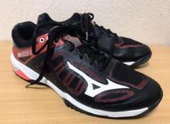 選ぶなら テニスシューズ MIZUNOミズノ ウエーブエクシード3WIDE 27cm OC - シューズ
