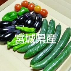 宮城県産 農薬不使用 きゅうり詰め合わせのサムネイル
