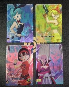 SDV5-LPUR1ブルマ