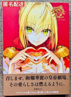 ワダアルコ 画集 Amazon.co.jp: ワダアルコ画集愛 -ワダアルコ Fate ART WORKS