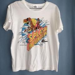 クリッターカントリースプラッシュマウンテンTシャツ　古着　ディズニー Disney - 希少 クリッターカントリー スプラッシュマウンテン T
