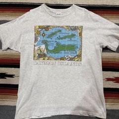 anvil アンビル　USA製 ビンテージ　アートT 地図　シングルステッチ