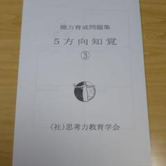 ピグマリオン 能力育成問題集 5方向知覚 ③