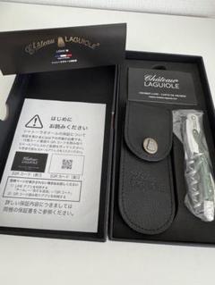 シャトーラギオールケース付フランスプロの象徴ホテルホテルスタッフ