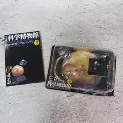 【新品・未使用】タカラトミー　海洋堂　王立科学博物館　9種12個セット 2025年最新】王立科学博物館の人気アイテム - メルカリ
