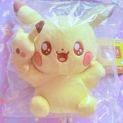 2024 Pokémon Collection くじ ～Welcome to the Pokémon House