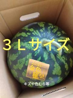 ２玉同梱・ブラック６㌔と羅皇４㌔のセット・メル便・兵庫・ローズ・と KATO Nゲージ 287系「くろしお」3両増結セット 鉄道模型 10-1180