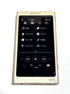 SONY ウォークマン NW-A45 動作品 16GB