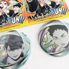 ハイキュー ファンパーク コレクション缶バッジ 及川徹 岩泉一
