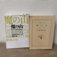 魔の山 トーマス・マン 新潮文庫　上・下セット