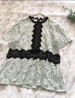 ザラ 総レース 半袖トップス　ブラウス　花柄シアー S 黒レース
