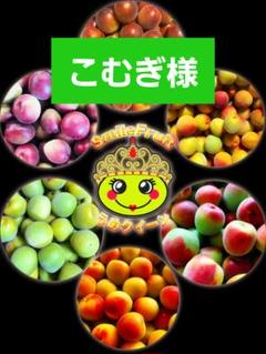 数箱限定‼️少し早い木熟南高梅　3L2Lサイズ　5kg みかんキング 数箱限定‼️少し早い木熟南高梅 3L2Lサイズ 5kg みかんキング 果物