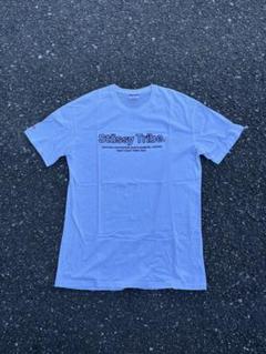 古着 STUSSY ストゥーシー Tシャツ Mサイズ