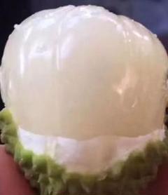生ライチ約1キロ