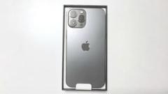 Apple iPhone 13 Pro グラファイト