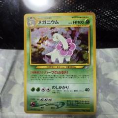 メガニウム_プレミアムファイル PROMO 第1世代 1996~1999 メガニウム_プレミアムファイル PROMO 第1世代 1996~1999