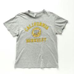 デルタ カレッジTシャツ カルフォルニア大学 グレー【Ｍ】